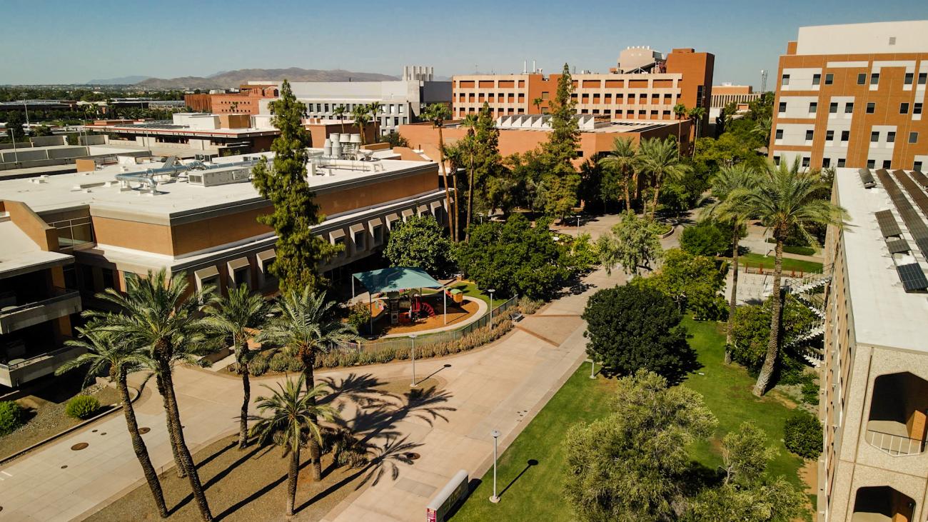 The SOCIAL Neurobiology lab (Verpeut)